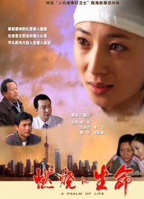 久久久久久综合成人精品